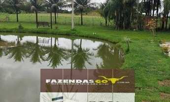 Imagem 2: Fazenda Extra - Para investimento | 33 Alqueires