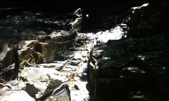 Imagem 2: Fazenda/Sítio/Chácara para venda possui 38000 metros quadrados em PORTO FELIZ - Porto Feli