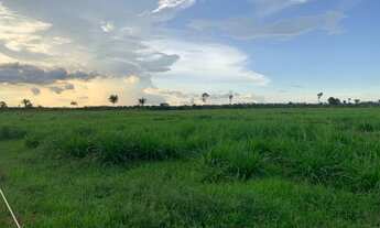 Imagem 2: Fazenda 480 alqueires 180 de capim! 50 km de Altamira..?