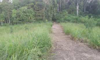 Imagem 4: Vendo Área de Terra em Sena Madureira