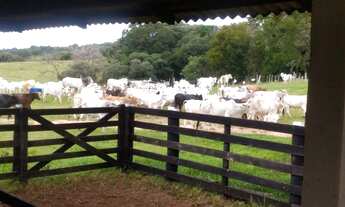 Imagem 3: Fazenda em Guareí