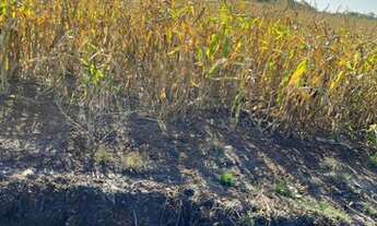 Imagem 7: Fazenda/Sítio/Chácara para venda tem 820000 metros quadrados com 1 quarto