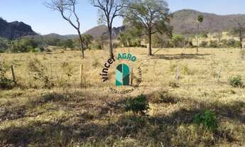 Imagem 2: Fazenda em Arrais