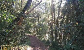 Imagem 3: Chácara para venda com 20000 metros quadrados em Criúva - Caxias do Sul - RS