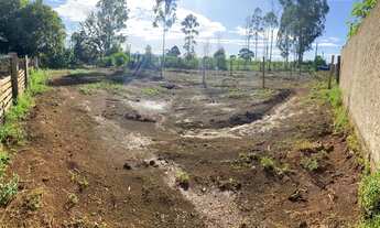 Imagem 2: Lote comercial na 26 de setembro