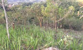 Imagem 2: Lote disponível para venda com planta aprovada