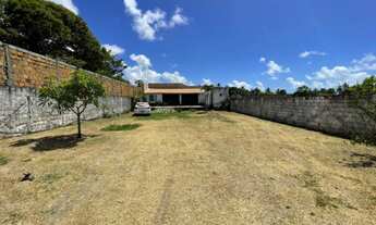 Imagem 2: Chácara no Mosqueiro