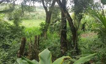 Imagem 7: SAO ROQUE - Terreno residencial - CAMPININHA (CANGUERA