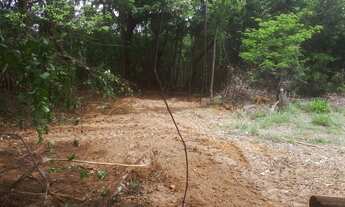 Imagem 7: Chácara município Piracanjuba-Go