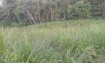 Imagem 3: Vendo Área de Terra em Sena Madureira