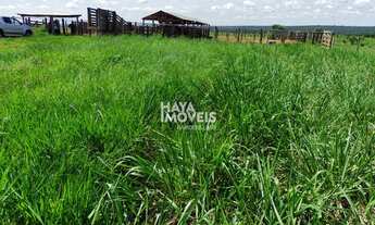 Imagem 5: Fazenda à venda, Rural, Santa Rita do Pardo, MS
