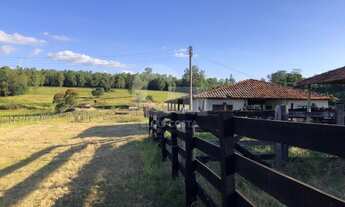 Imagem 5: Sitio 9.84 Alq. Com Estrutura de Produção Integrada