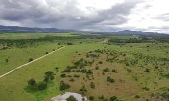 Imagem 2: Fazenda 413 Alqueires, Peixe - TO