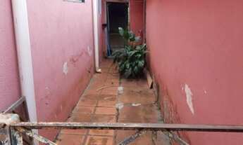 Imagem 6: Ribeirão Preto - Casa Padrão - Vila Virgínia