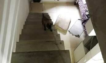 Imagem 4: Casa pra alugar Casa com 1 dormitório