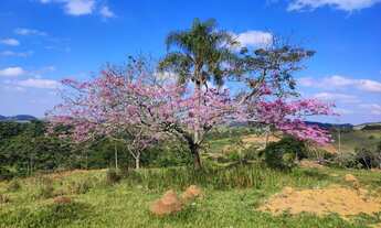 Imagem 7: Terrenos 600m² por apenas R$15.000 de entrada saldo parcelado!!