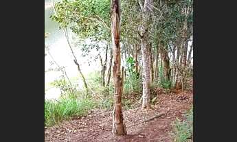 Imagem 5: Estou com terrenos a venda em Nazaré!!!