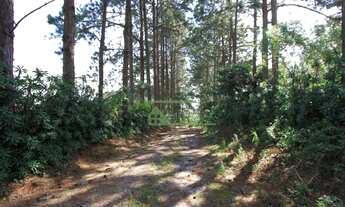 Imagem 5: Fazenda com 5 dormitórios à venda, 726000 m² por R$ 3.400.000,00 - Zona Rural - Piedade/SP
