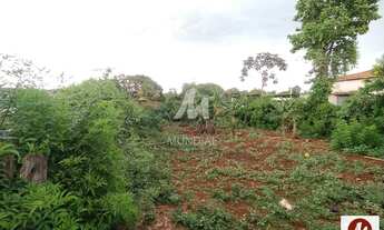 Imagem 3: Terreno (terreno normal