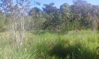 Imagem: Fazenda 70 alqueire goiatins Tocantins