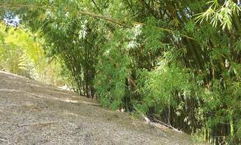 Imagem 5: TERRENO VENDA NO COND. MORADA DAS NASCENTES EM JOAQUIM EGÍDIO, CAMPINAS DE AT.1.690m², FRE
