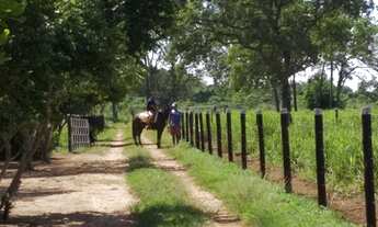 Imagem 4: Maravilhosa Chácara em Jardim MS