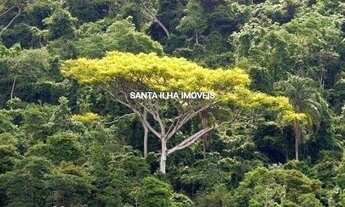 Imagem 3: FLORIANóPOLIS - Terreno Padrão - Lagoa da Conceição