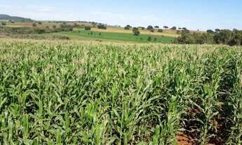 Imagem 5: ?Vendo Sítio Vila Valério?