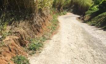 Imagem 3: Linda área verde