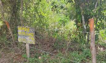 Imagem 3: Terreno com loteamento Humaitá