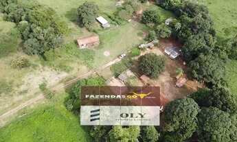 Imagem: Fazenda Extra - Para investimento 33 Alqueires