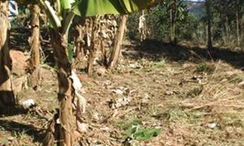 Imagem 6: TERRENO PARA VENDAA COM POUCAS UNIDADES!!!!!!!!