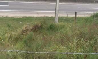Imagem 2: Vendo terreno na frente do depósito do exército da geral da br em Morretes tijucas