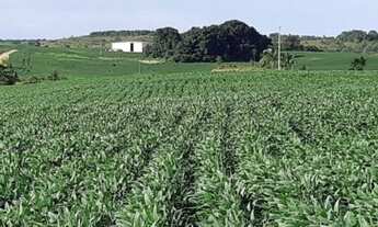 Imagem 5: Fazenda/sítios/chácaras com 3 dormitórios à venda em Dois Irmãos Do Tocantins