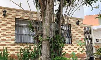 Imagem 2: São Paulo - Casa Padrão - SAÚDE