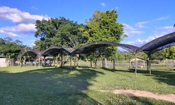 Imagem 5: Vendo Área de Terras em Parobé pra vc Investidor e Empreendedor na Piscicultura