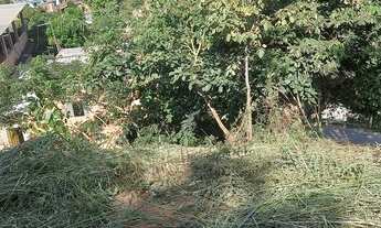 Imagem 6: Vendo no bairro Vila Esportiva