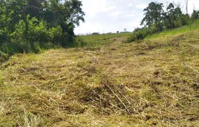 Imagem 3: Venha ter terrenos incríveis no centro de Cotia