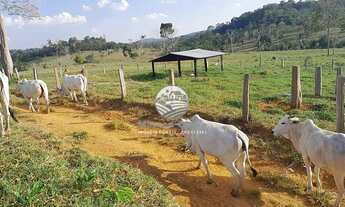 Imagem 5: Vale do Anari - Fazenda - 63 alqueires