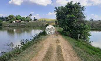 Imagem 3: Vale do Anari - Fazenda - 63 alqueires