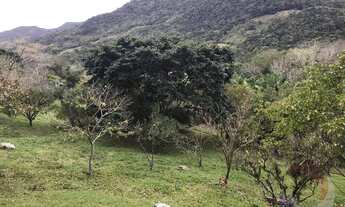 Imagem 6: Terreno para Venda em Florianópolis, Vargem Grande