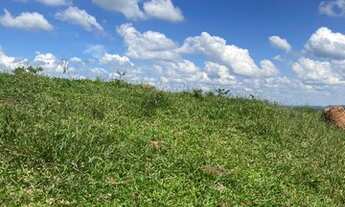 Imagem 4: Lote/Terreno para venda tem 5000 metros quadrados com 1 quarto em Boa Vista - Igaratá - SP