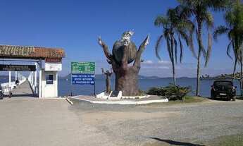 Imagem: Vendo lote na vila da Glória (leia o anuncio