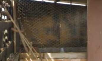 Imagem 3: Chácara no MS040 à 32 km de Campo Grande 800 metros do asfalto