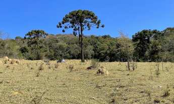 Imagem 6: Sítio Pedra do Elefante