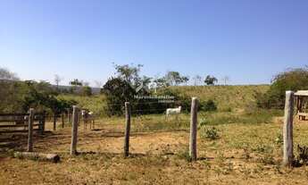 Imagem: Fazenda á venda no município de Rosário