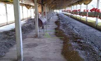 Imagem 7: Sítio com 9 dormitórios à venda, 242000 m² por R$ 3.000.000,00 - Área Rural - Tietê/SP