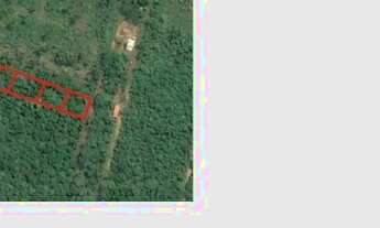 Imagem: Terreno em Acutuba