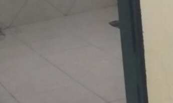 Imagem: Aluguel de Kitnet