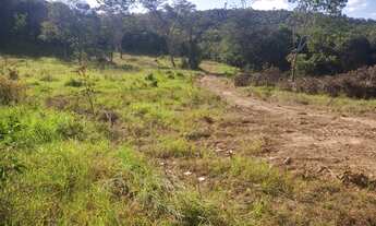 Imagem 6: Chácara de 5 alqueires no mun.de Cocalzinho